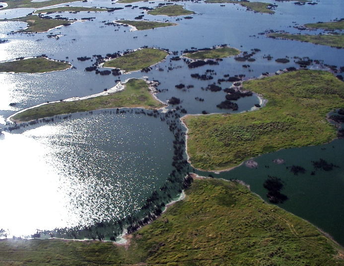 Pantanal flood cycle seasonal ecological transformation