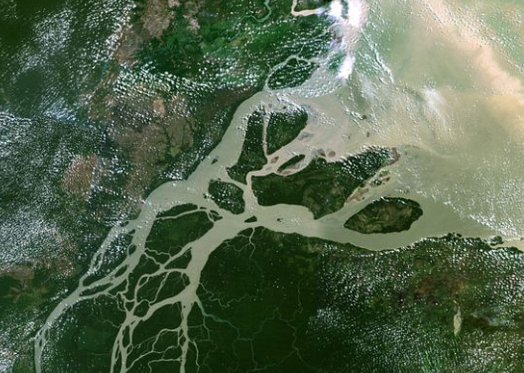Amazon delta sediment deposition and river mouth structure