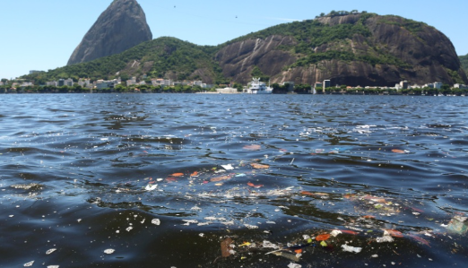 Rio de Janeiro bay geography Guanabara Bay environmental issues