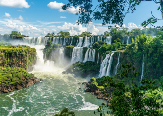 Iguazu Falls rainforest surroundings and ecosystem connection