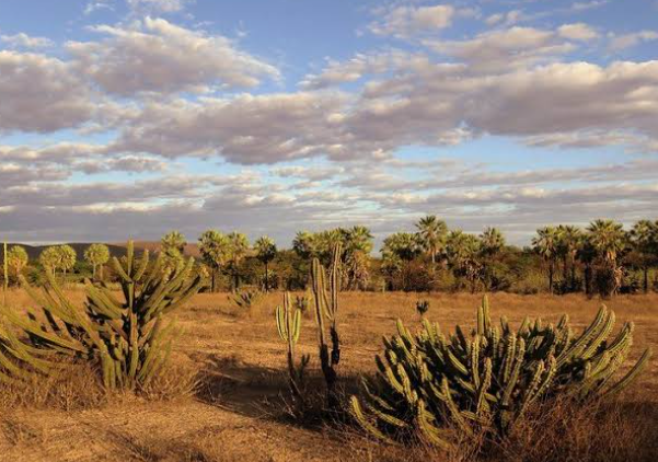 Brazil desert misconceptions semi-arid Caatinga ecosystem