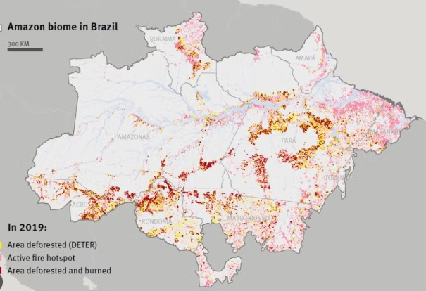 Brazil rainforest fire mapping and climate change impact