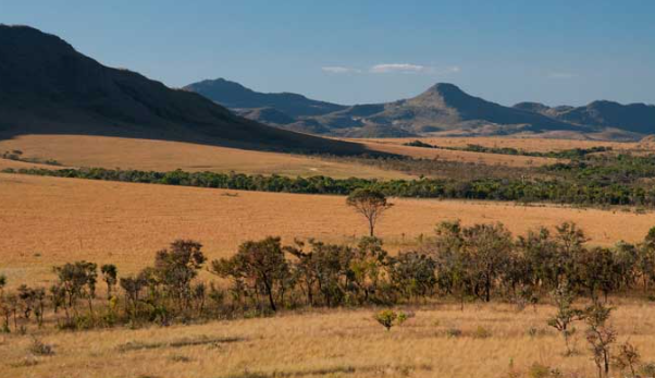 Cerrado savanna ecosystem Brazil central plateau geography