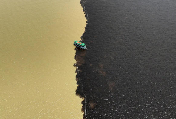 Rio Negro dark water chemistry and ecological significance