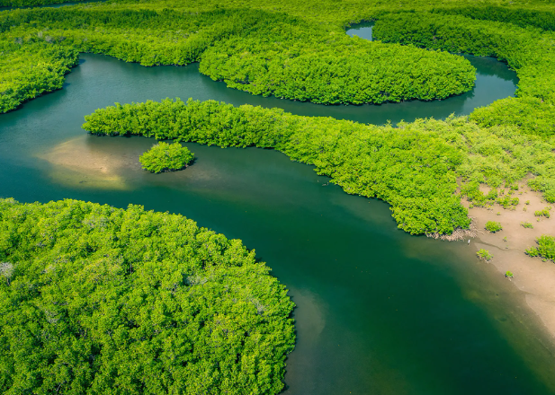 Brazil highlands plateau climate and agricultural geography