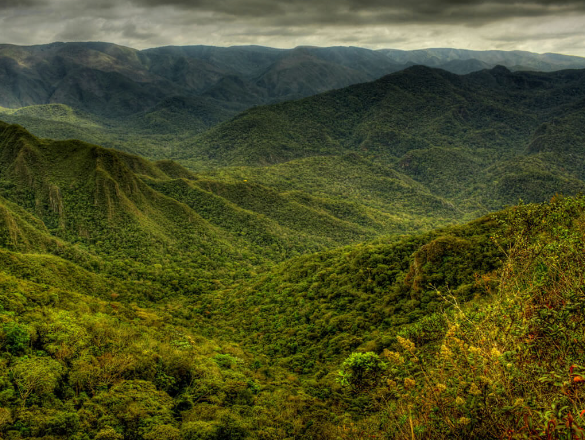 Atlantic Forest coastal mountain biodiversity corridor