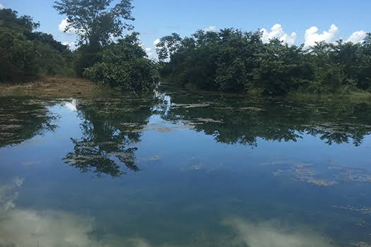 Araguaia River wildlife corridor and river island systems