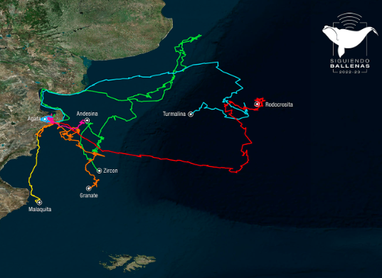 Abrolhos Marine Park reef systems and whale migration routes